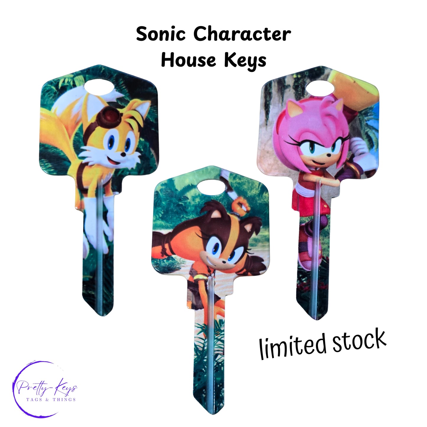 Sonic the Hedgehog Uncut House Key Blank DISCONTINUED