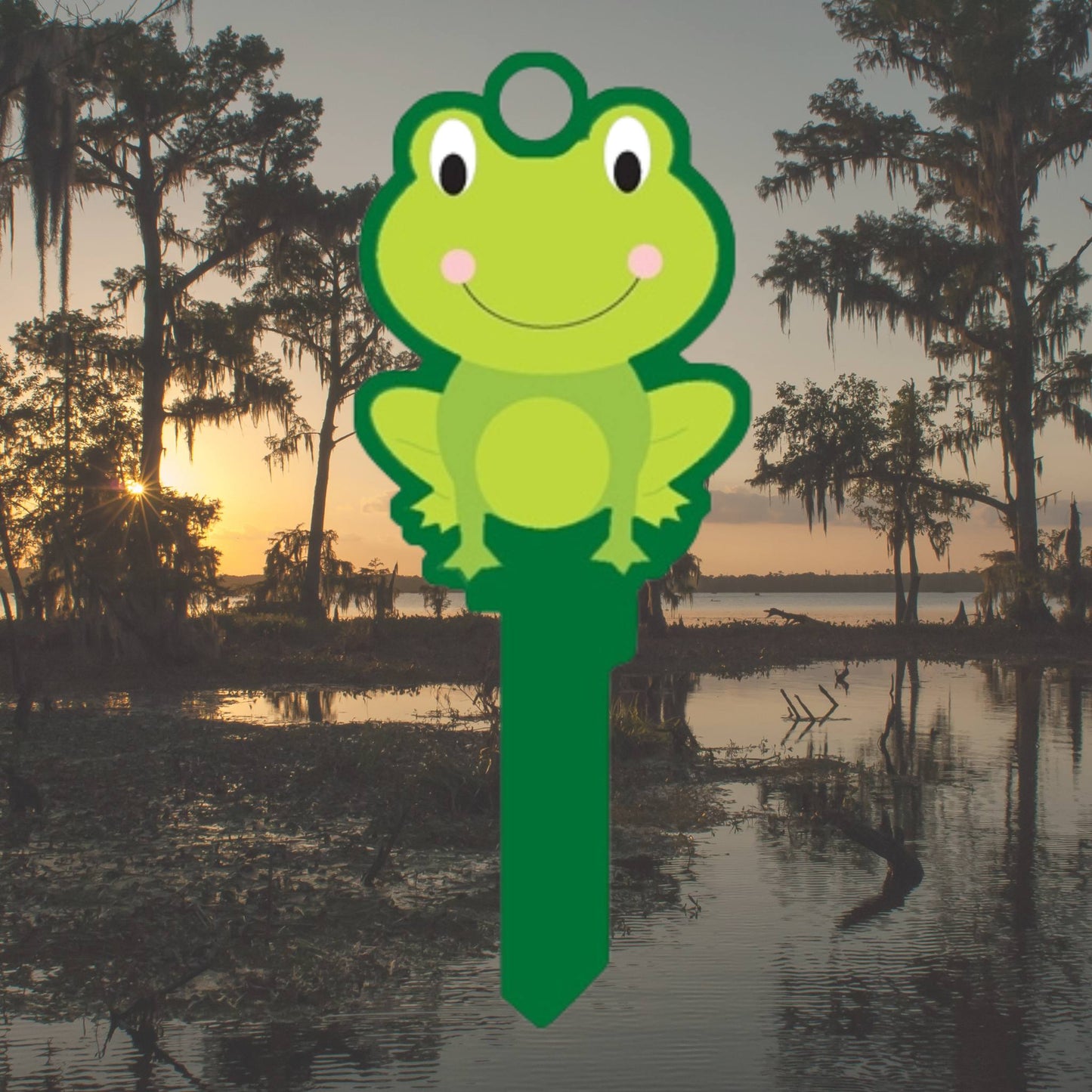 Green Frog 3D Shaped House Key Blank