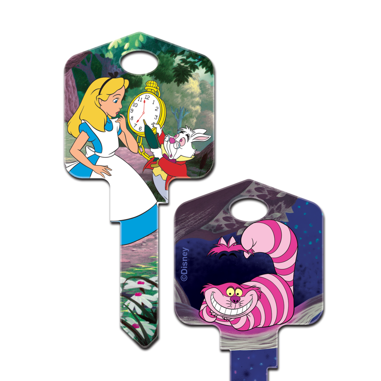 Disney's Alice in Wonderland's Uncut House Key Blank Alice & Cheshire Cat
