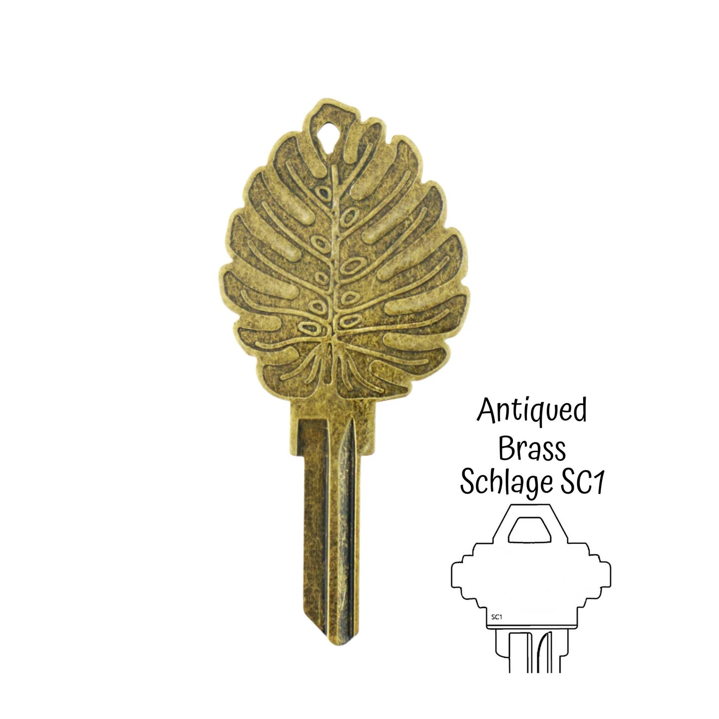 Steampunk Monstera Rare Plant Uncut House Key Blank