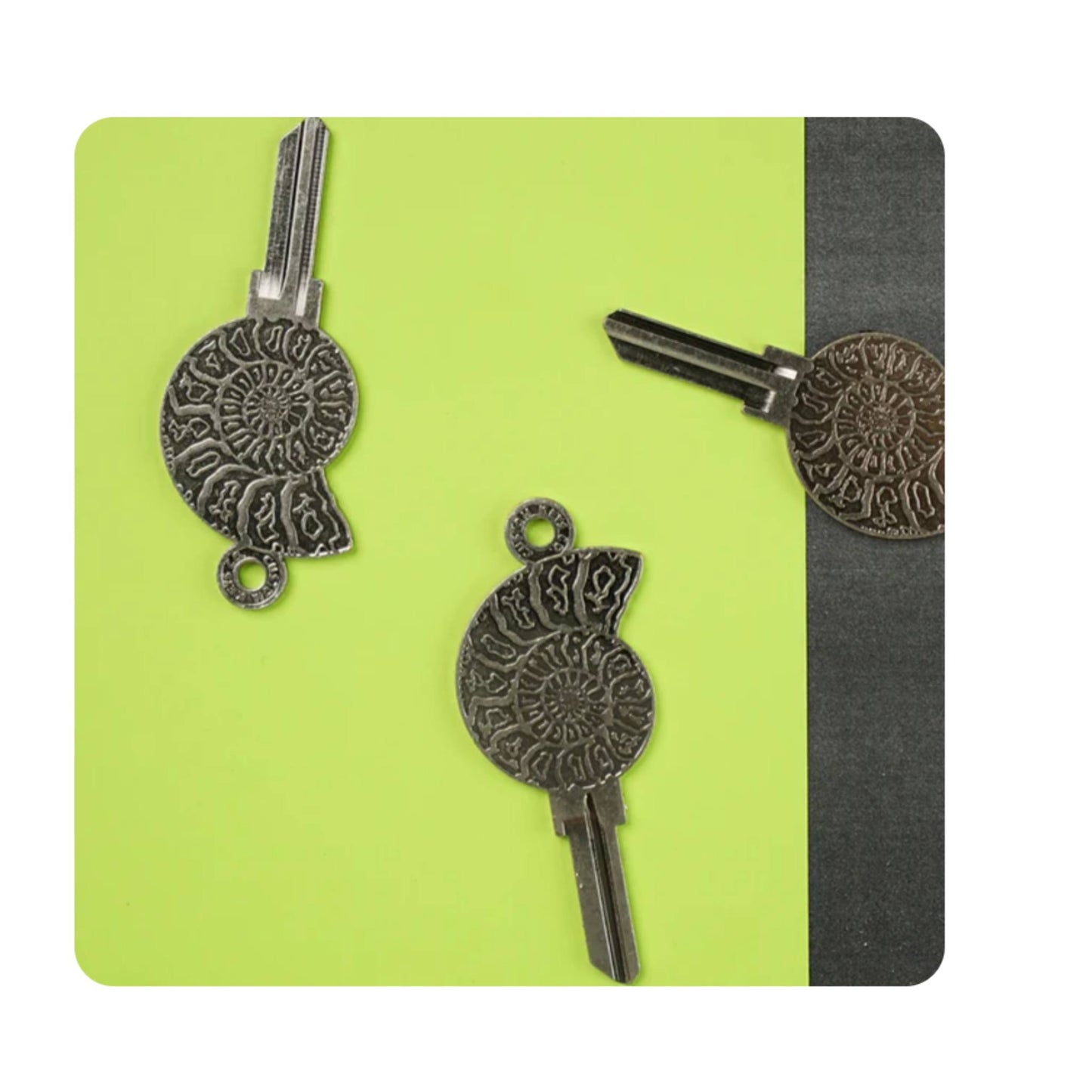 Steampunk Ammonite Fossil Uncut House Key Blank