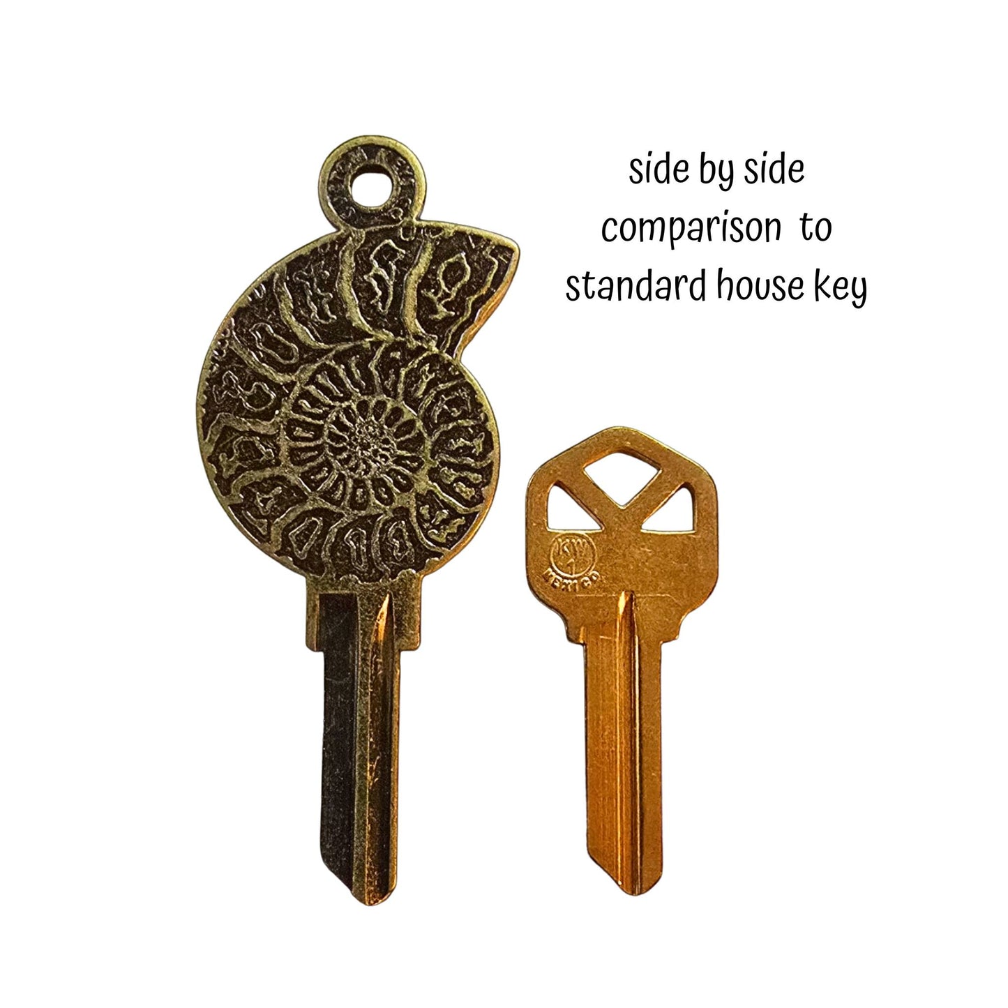 Steampunk Ammonite Fossil Uncut House Key Blank