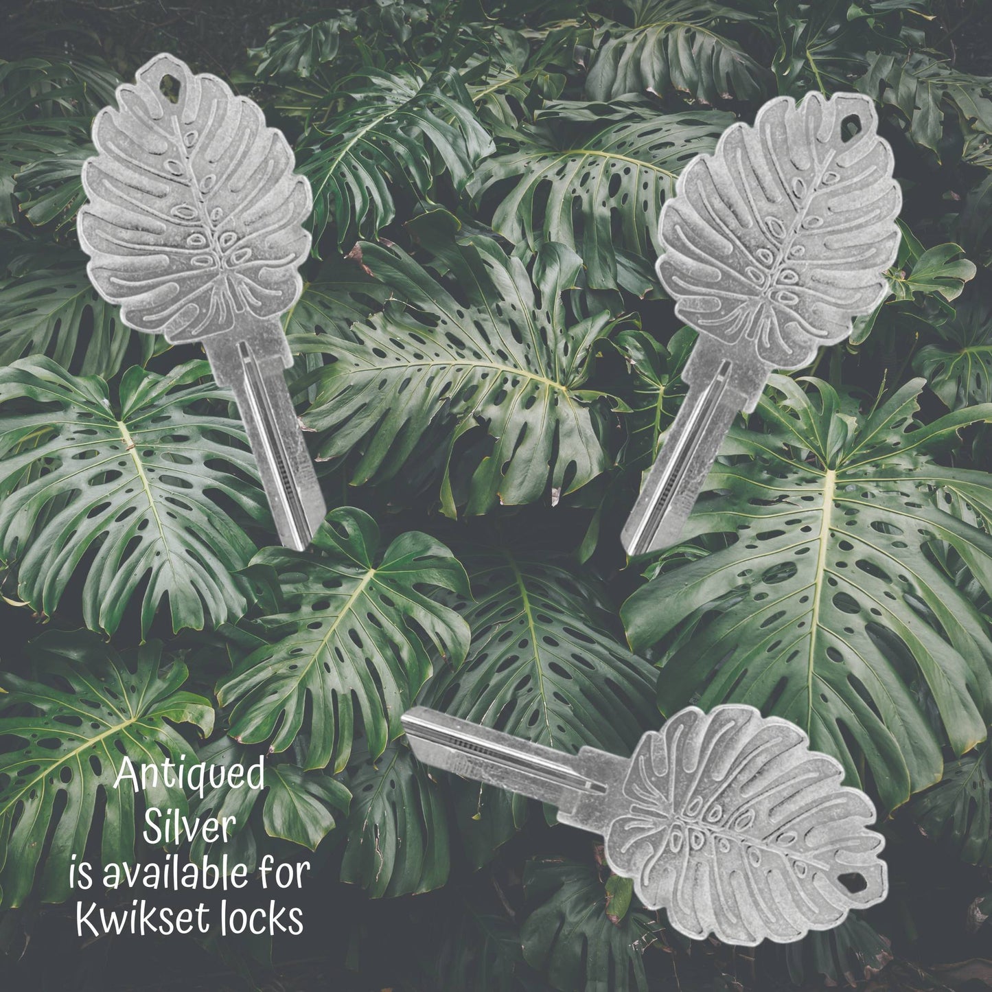 Steampunk Monstera Rare Plant Uncut House Key Blank