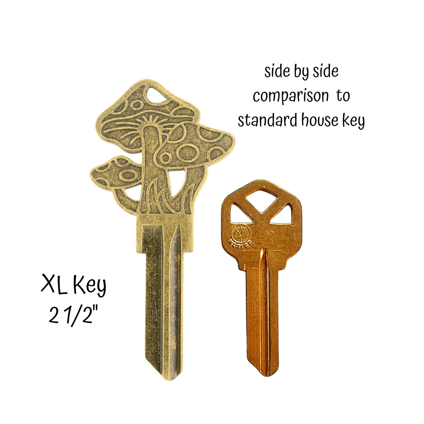 Steampunk Fantasy Mushroom Fungi Uncut House Key Blank
