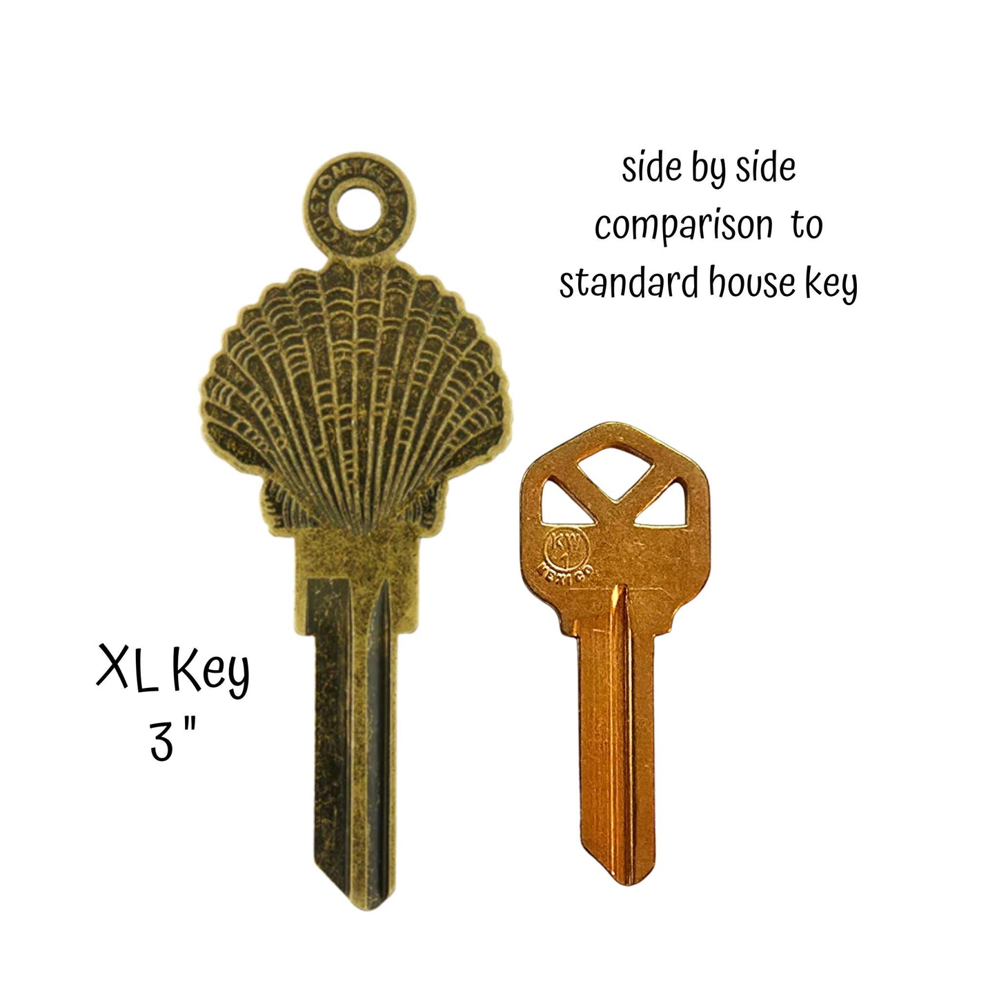 Steampunk Seashell Beach Uncut House Key Blank