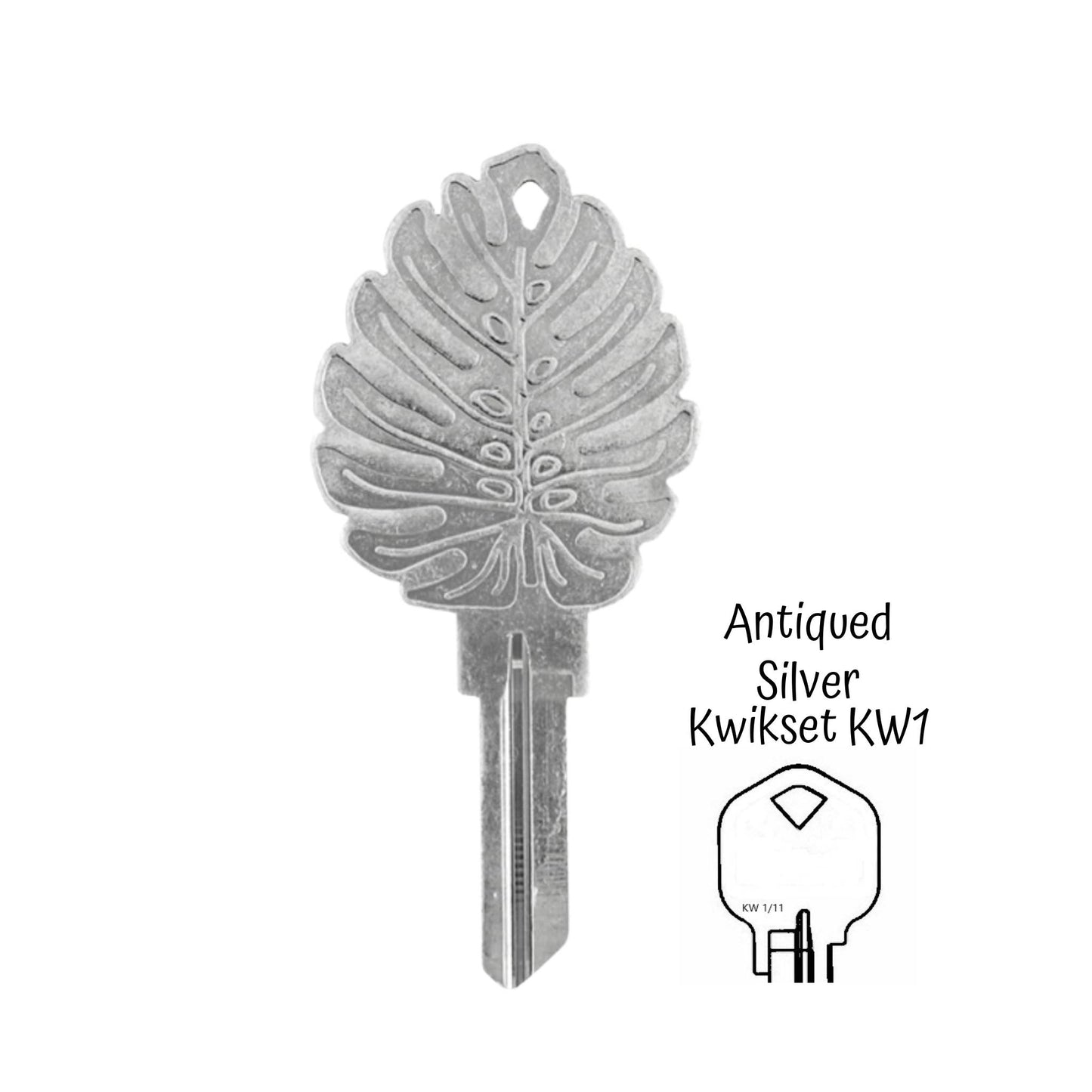 Steampunk Monstera Rare Plant Uncut House Key Blank