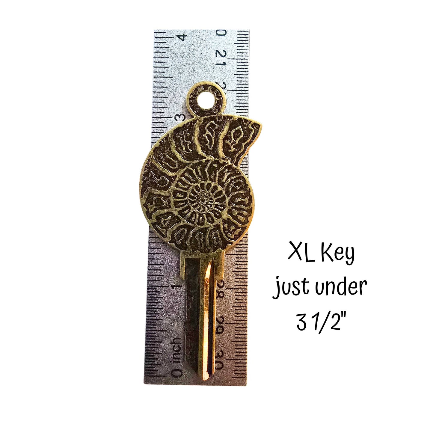 Steampunk Ammonite Fossil Uncut House Key Blank