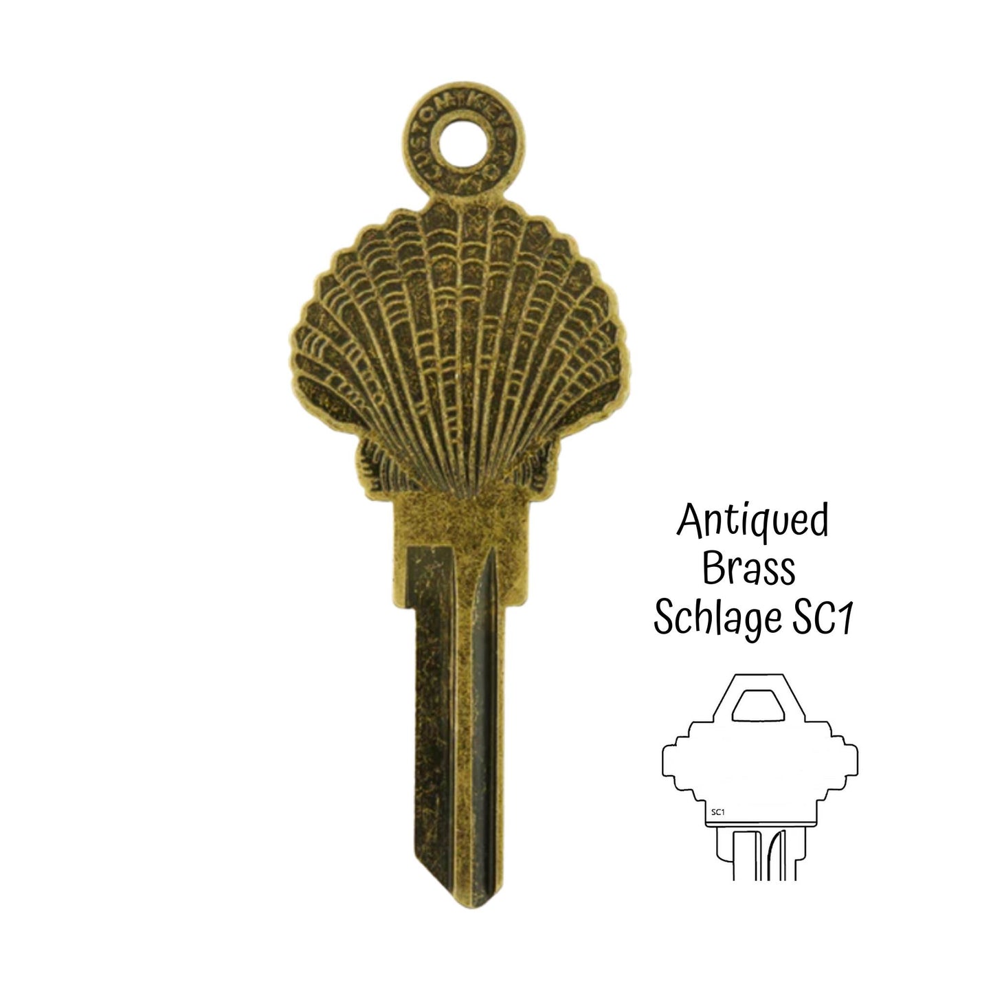 Steampunk Seashell Beach Uncut House Key Blank