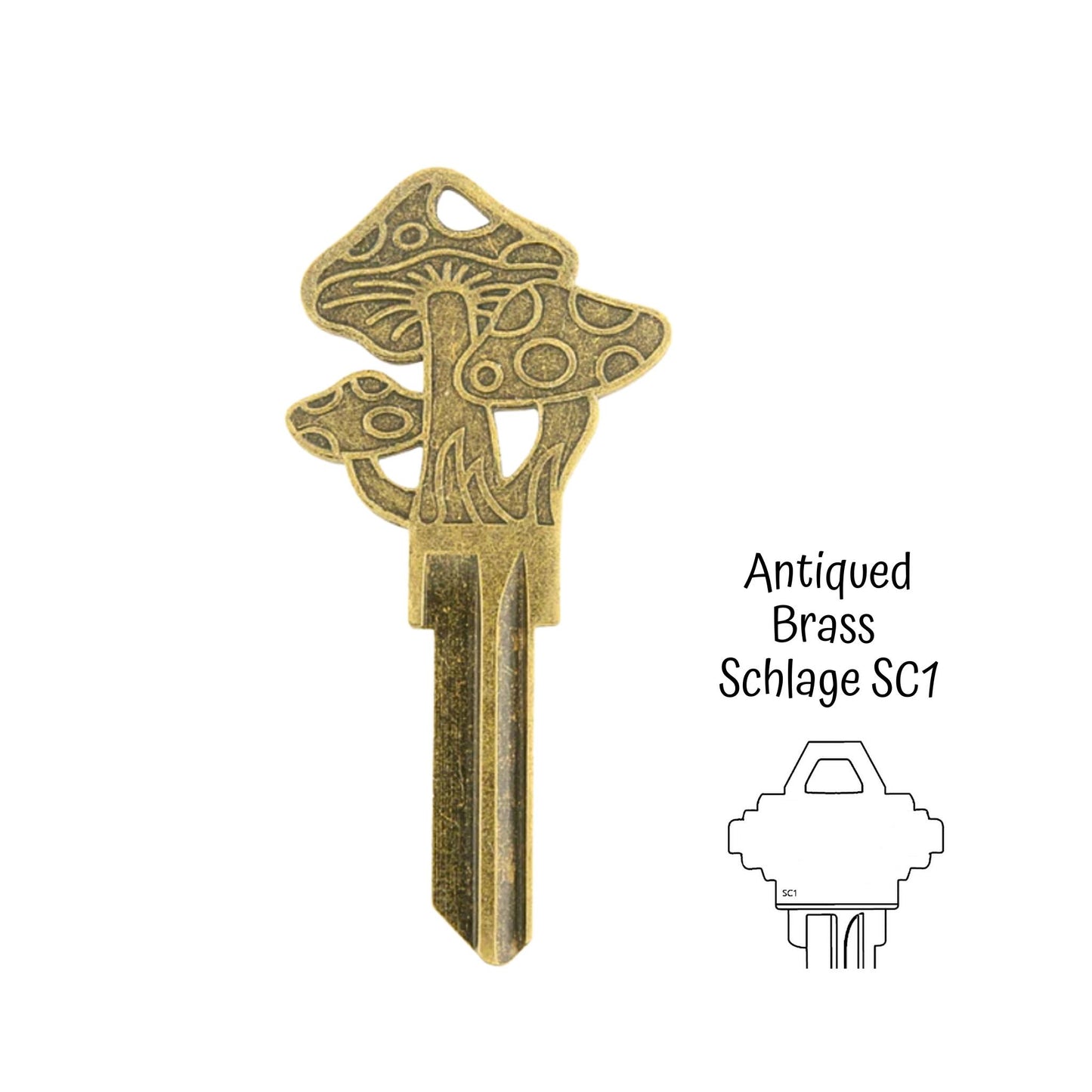 Steampunk Fantasy Mushroom Fungi Uncut House Key Blank