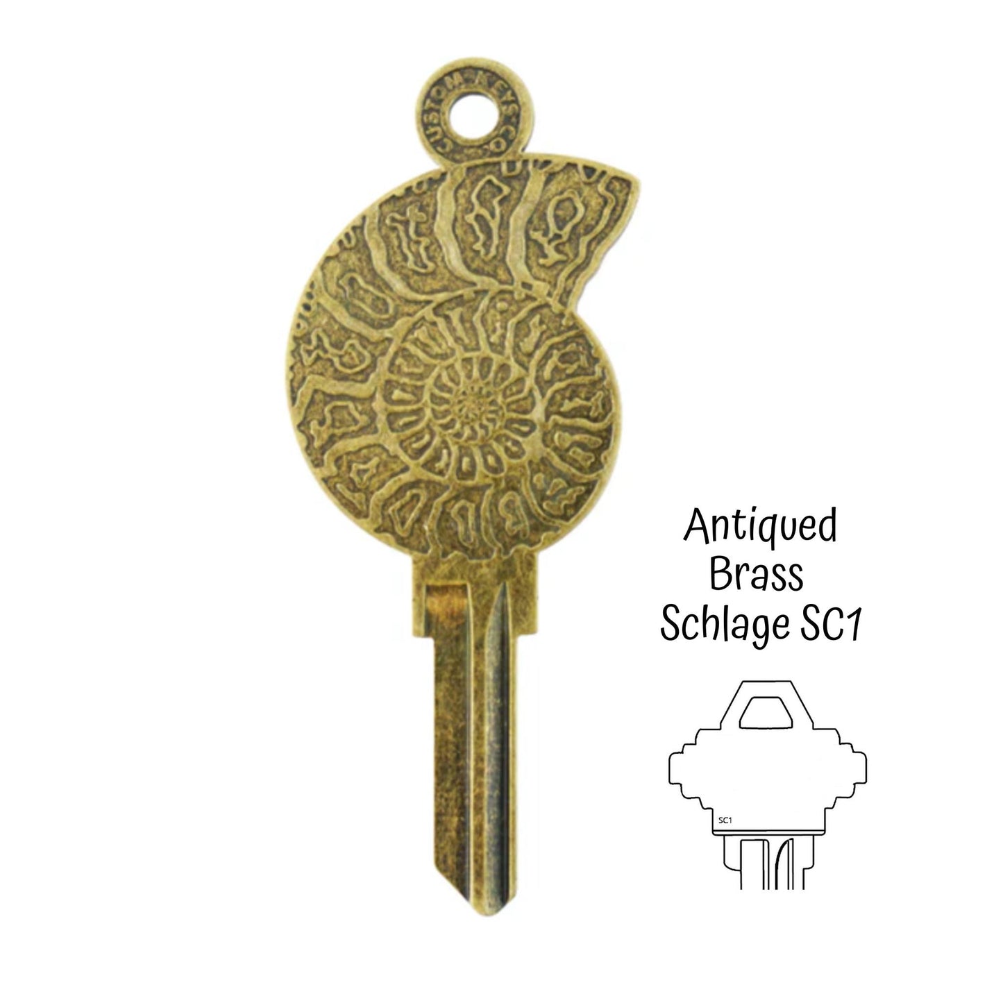 Steampunk Ammonite Fossil Uncut House Key Blank