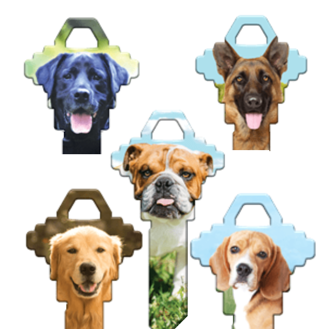 Cat Lover's Uncut House Key Blank 4 Designs