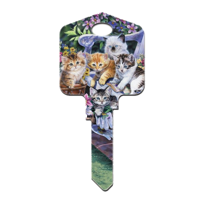 All About Kittens Uncut House Key Blank