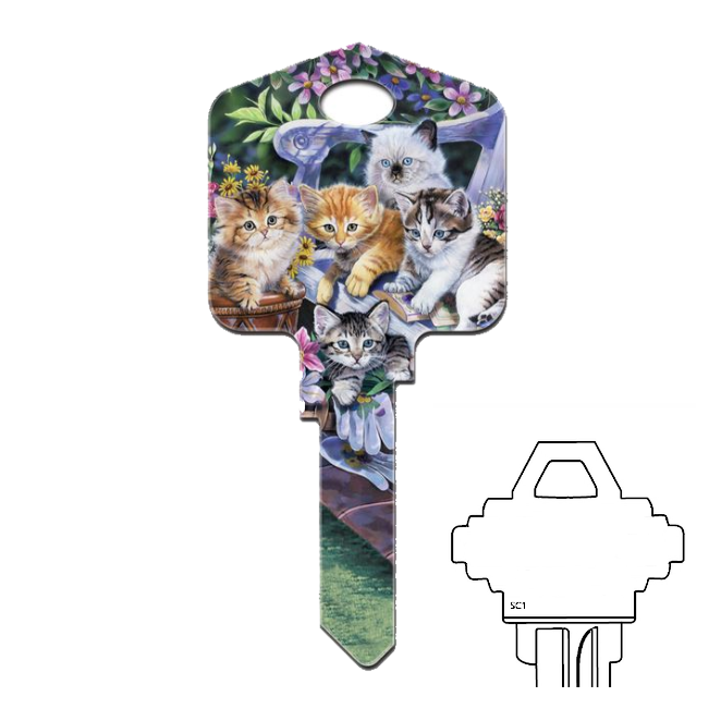 All About Kittens Uncut House Key Blank