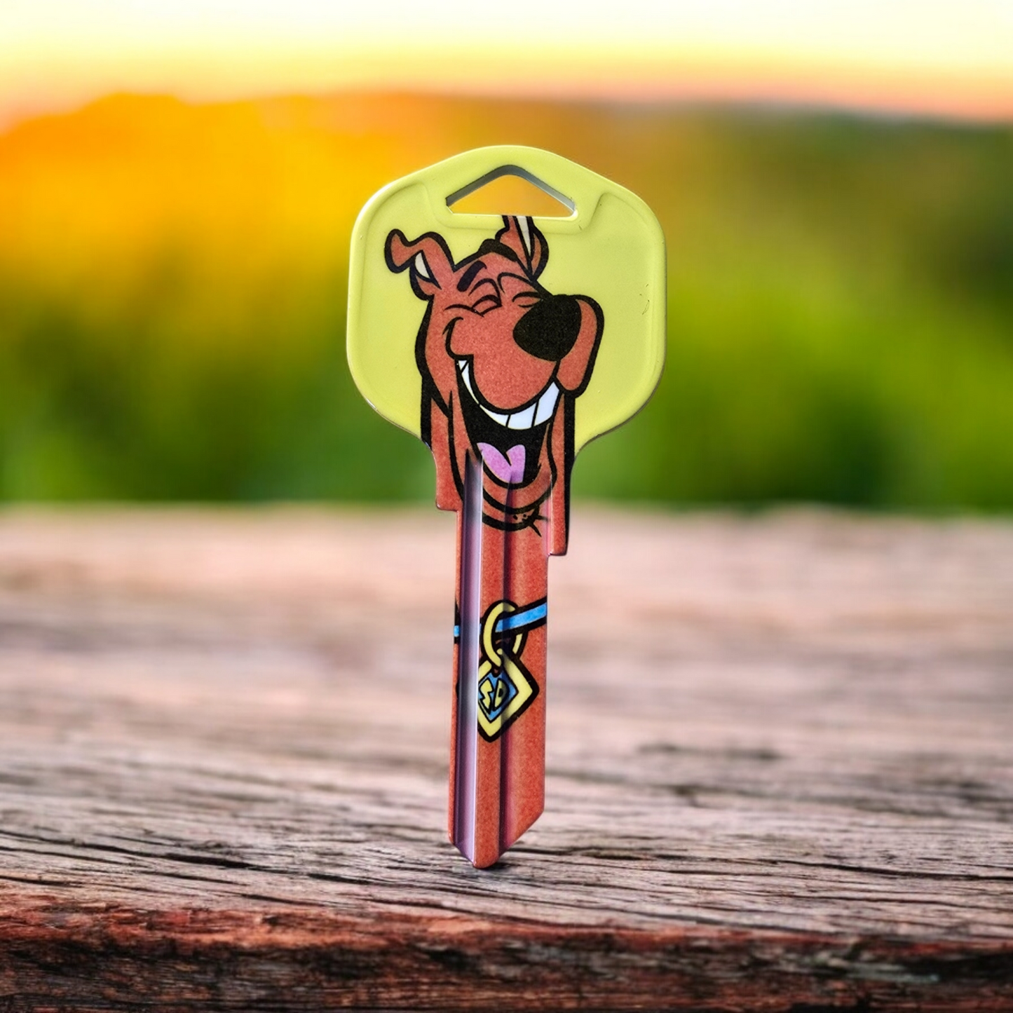 Scooby Doo House Key Blank