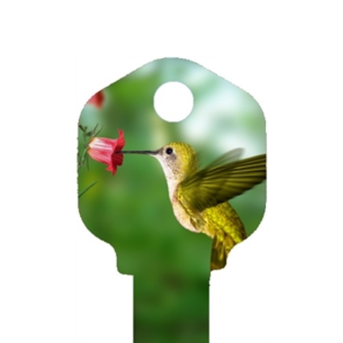 Hummingbird uncut Key Blank Home or Office House