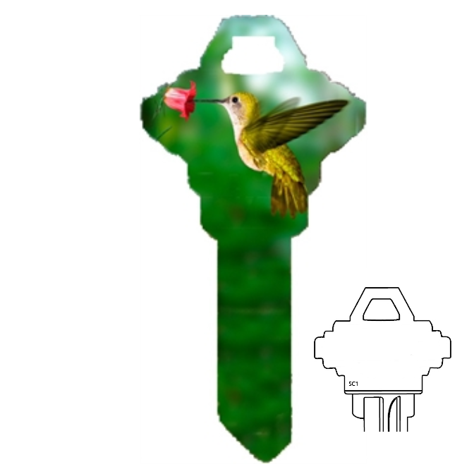 Hummingbird uncut Key Blank Home or Office House