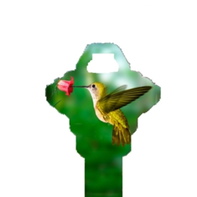 Hummingbird uncut Key Blank Home or Office House