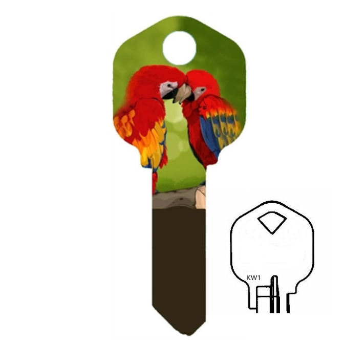 Macaw Parrot Uncut House Key Blank Home or Office House Parrot Lover's