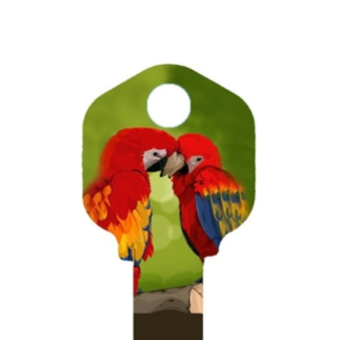 Macaw Parrot Uncut House Key Blank Home or Office House Parrot Lover's