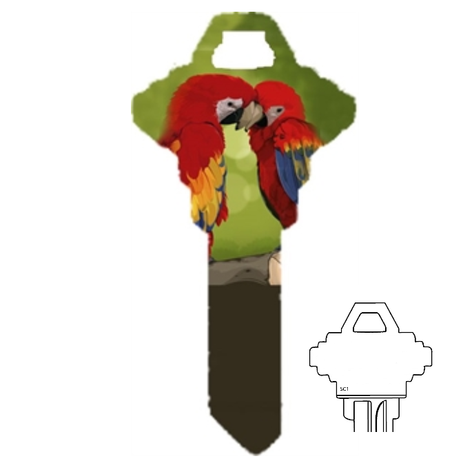 Macaw Parrot Uncut House Key Blank Home or Office House Parrot Lover's