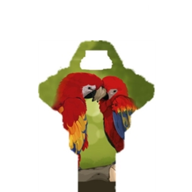 Macaw Parrot Uncut House Key Blank Home or Office House Parrot Lover's