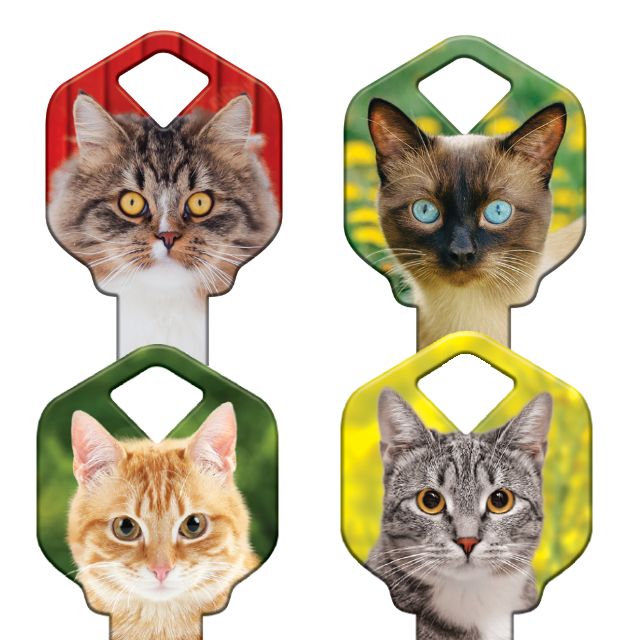 Cat Lover's Uncut House Key Blank 4 Designs
