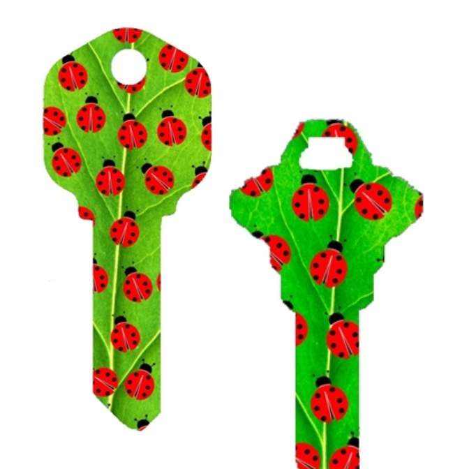Ladybugs Uncut House Key Blank