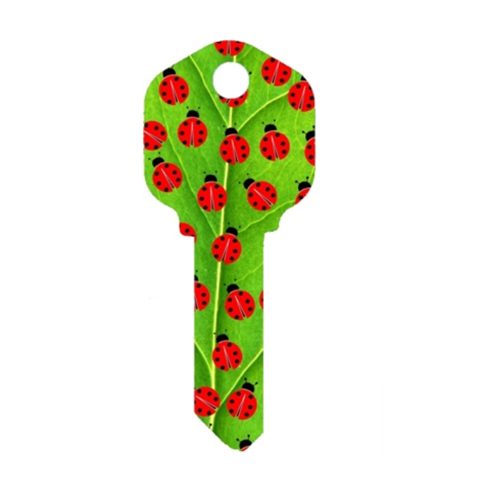Ladybugs Uncut House Key Blank