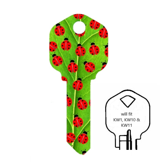 Ladybugs Uncut House Key Blank