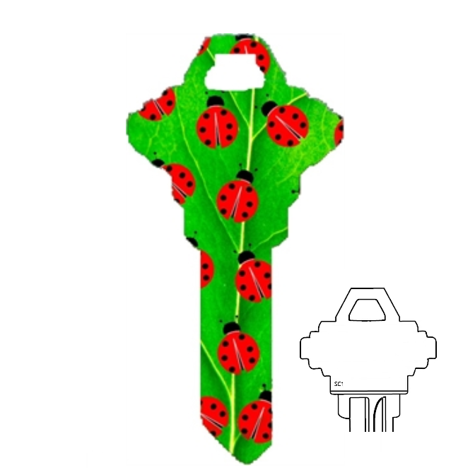 Ladybugs Uncut House Key Blank