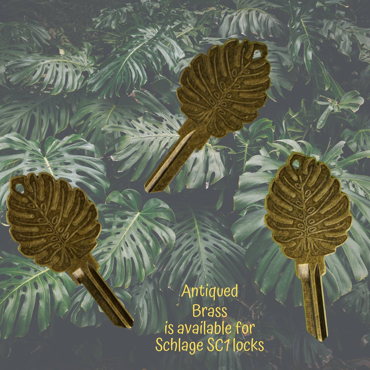 Steampunk  Monstera Rare Plant  Uncut House Key Blank