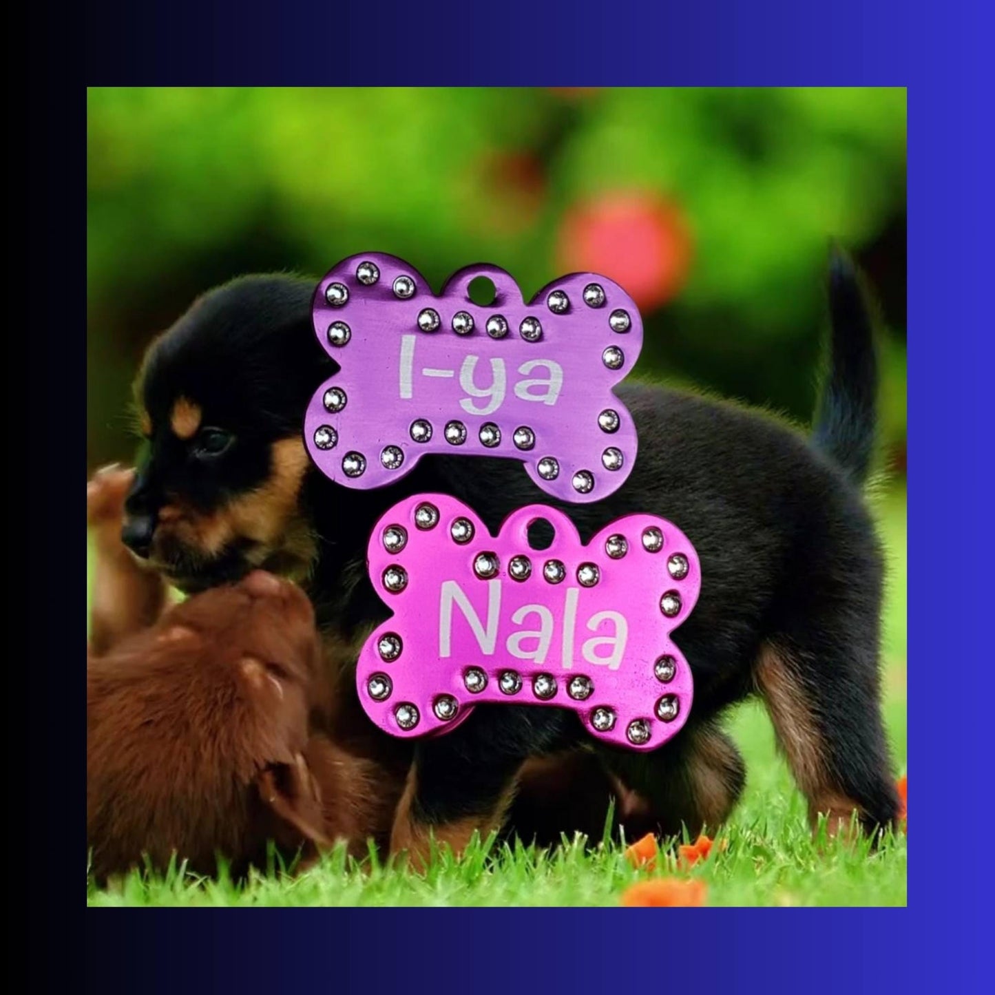 Custom Crystal Pet ID Tag: Bone Shaped Rhinestone Bling