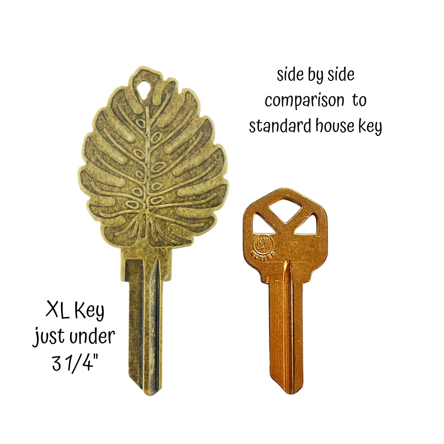 Steampunk  Monstera Rare Plant  Uncut House Key Blank
