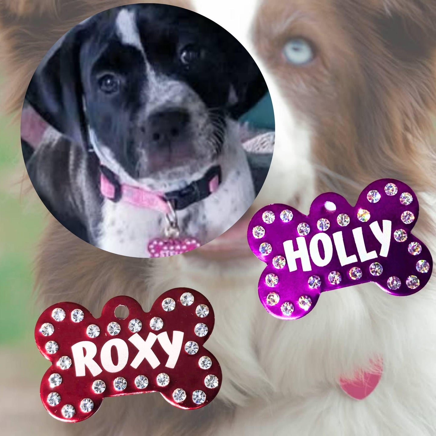 Custom Crystal Pet ID Tag: Bone Shaped Rhinestone Bling