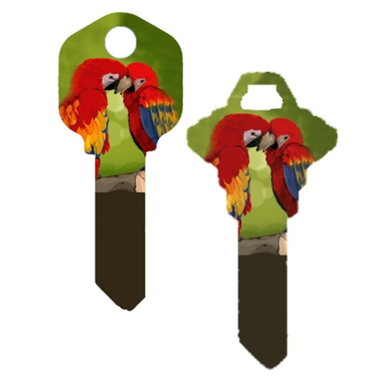 Macaw Parrot Uncut  House Key Blank Home or Office House  Parrot Lover's