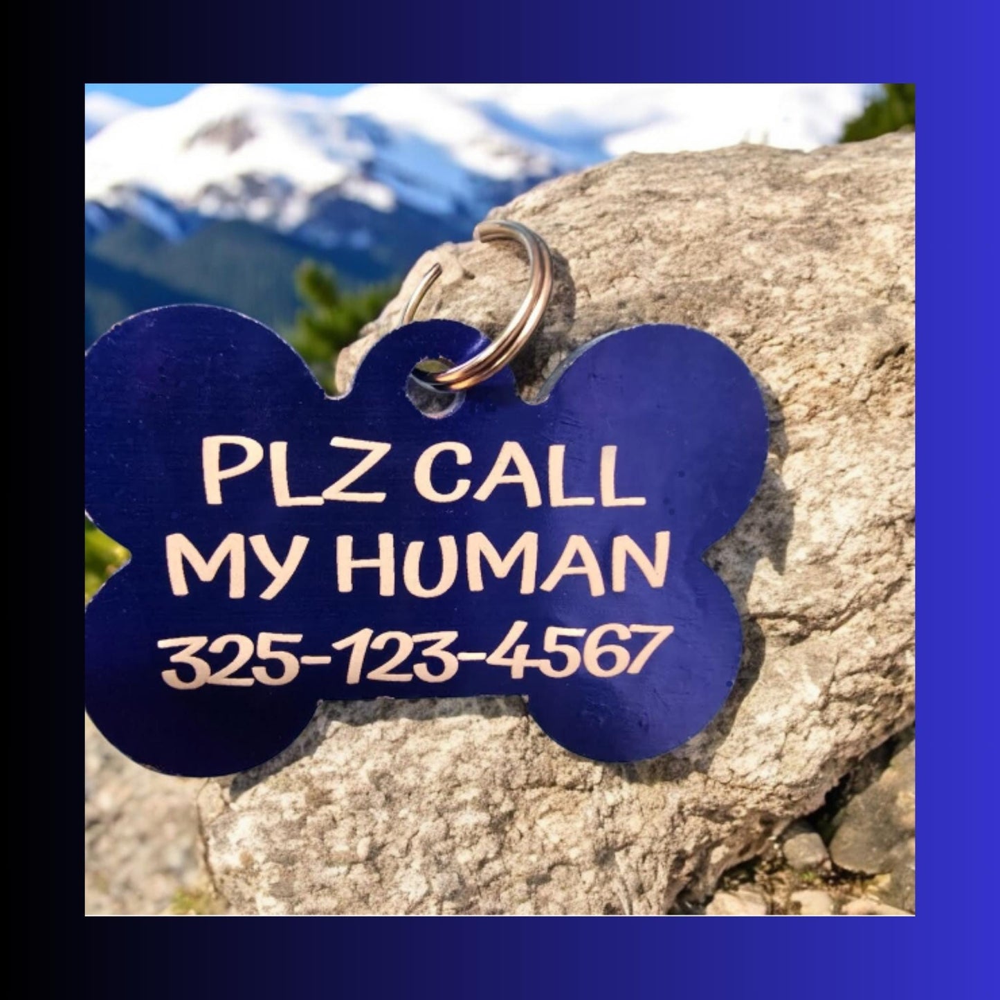 Custom Pet Tag Bone Shaped Personalized 3 sizes Small, Medium X Large